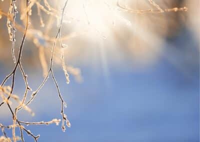 En ny vårtermin är i gång